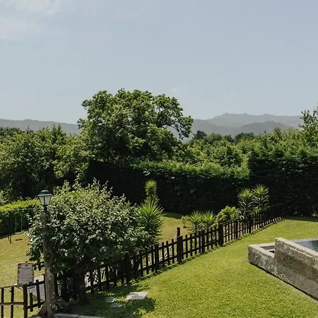 Quinta Da Salvadoira *