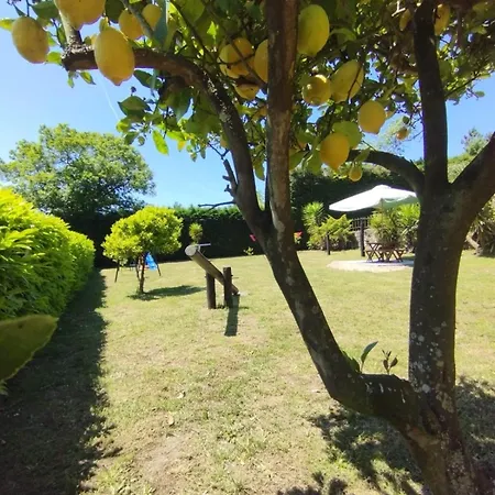 Quinta Da Salvadoira Baioes
