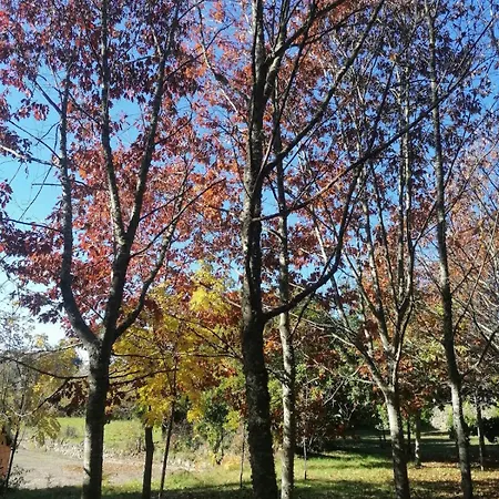 Quinta Da Salvadoira Casa de Férias