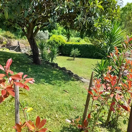 Quinta Da Salvadoira * Baioes